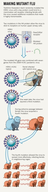 Illustration for article titled Nature goes ahead and publishes study explaining how to create deadly mutant bird flu